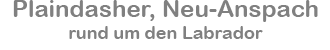 Ziemlich viel Hunde